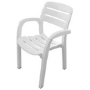 Кресло из пластика N3 Далгория, цвет: белый