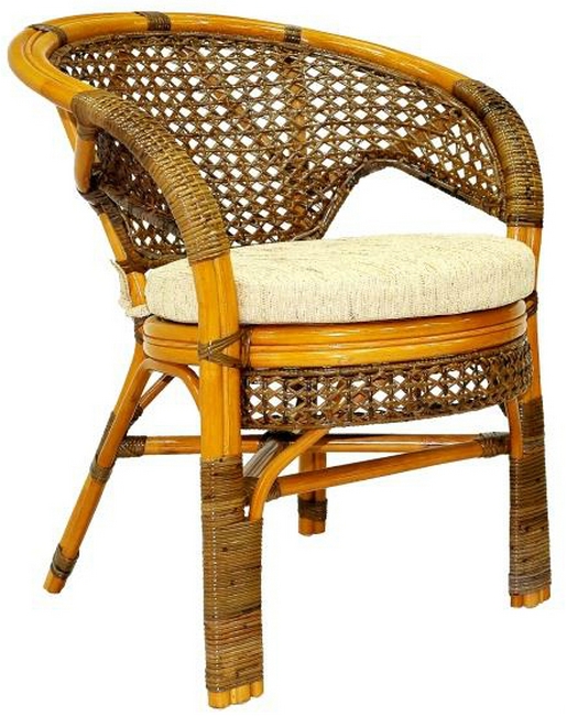 Купить Кресло для дачи и сада Пеланги 02/15B на grand-dacha.ru 8608-kreslo-Pelangi-02-15B-two-tone