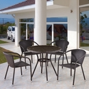        T282ANT/Y137C-W53 Brown 4Pcs