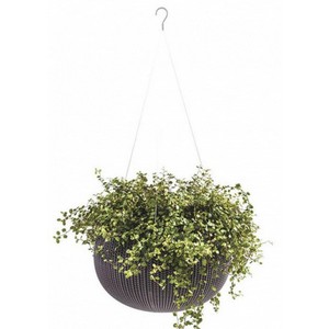 ����� ��������� COZY Planter S 3,2L (���������)