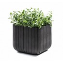 ����� CUBE PLANTERS 22� (������)