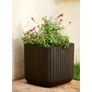 ����� CUBE PLANTERS 22� (����������)