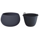    Splofy Bowl DKSP370-S433 9  ()