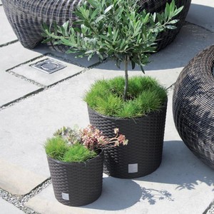    Rato Round DRTUS400L-440U 35  37.65  ()