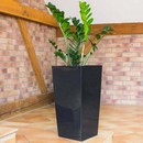    Urbi Square DURS265-S433 11  26,6  ()